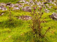 Isle of Skye